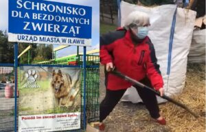 SŁOMA SPOD DOMU SENATOR BOGUSŁAWY ORZECHOWSKIEJ TRAFIŁA JUŻ DO SCHRONISKA DLA ZWIERZĄT 15 Slijderb