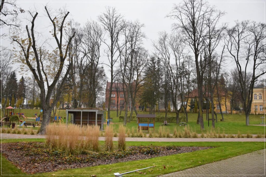 MIASTO PODEJMIE DZIAŁANIA MAJĄCE NA CELU USTALENIE PRZYCZYNY OBUMIERANIA DRZEW W OSTRÓDZIE 4 124931329 1071867363257230 1664791582599161579 O