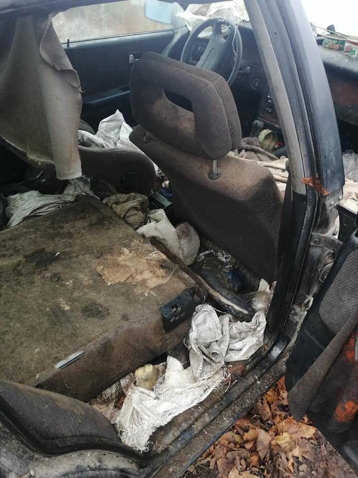 ZNĘCAŁ SIĘ POD OLSZTYNEM NAD 14 PSAMI ZE SZCZEGÓLNYM OKRUCIEŃSTWEM. ODPOWIE PRZED SĄDEM 8 127053541 3260392050735798 3572802493414494341 N
