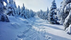 OD DZIŚ DO 17 STYCZNIA KWARANTANNA NARODOWA - ZAMKNIĘCIA I OGRANICZENIA 14 Winter 1384661 960 720