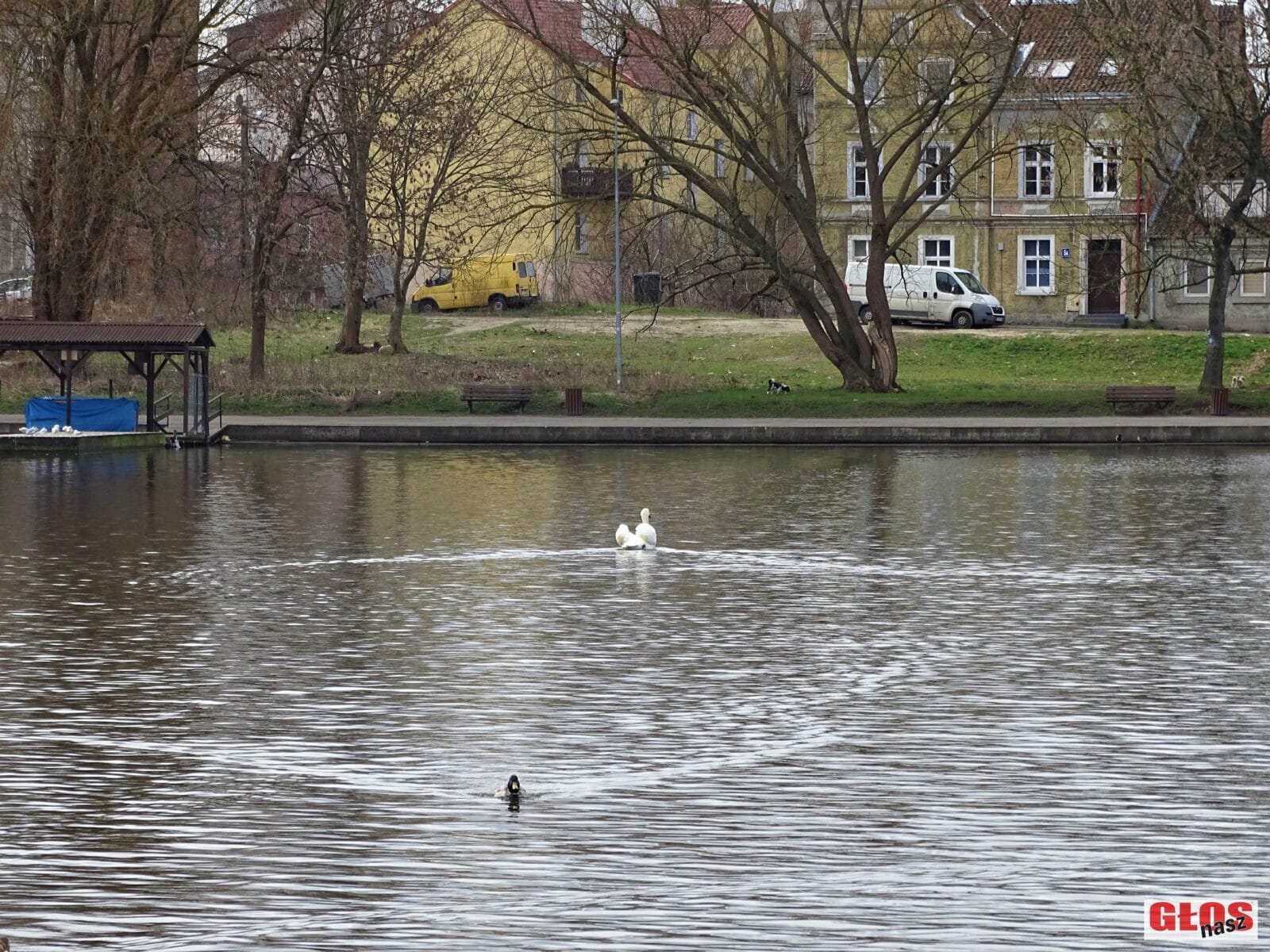 KTO OCZYŚCI W 2021 ROKU JEZIORO DRWĘCKIE W OSTRÓDZIE? 1 Dsc08711
