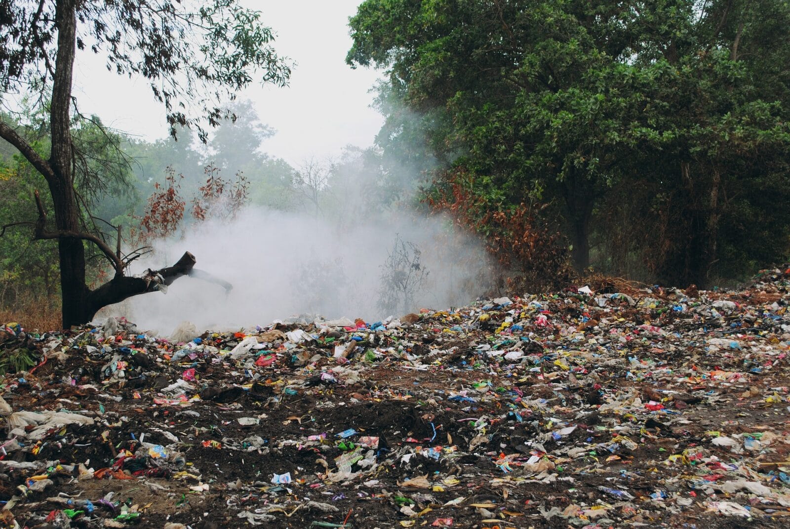 DZIŚ "DZIEŃ BEZ OPAKOWAŃ FOLIOWYCH". REZYGNACJA Z "FOLIÓWEK" MOŻE POMÓC ŚRODOWISKU! 1 Dzikie Wysypiska To Prawdziwa Plaga. Trafiaja Na Nie M.in . Plastikowe Torby
