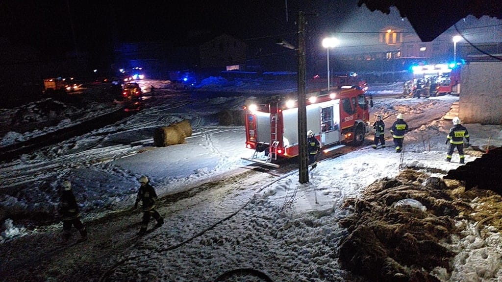 POŻAR KURNIKA W GIERZWAŁDZIE - WIĘCEJ INFORMACJI! STRATY - 200 TYS. ZŁ, ZGINĘŁO 2200 INDYKÓW 9 Img 20210121 Wa0037