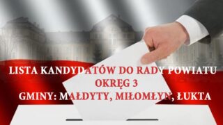 Wybory do Rady Powiatu w Ostródzie- Okręg 3