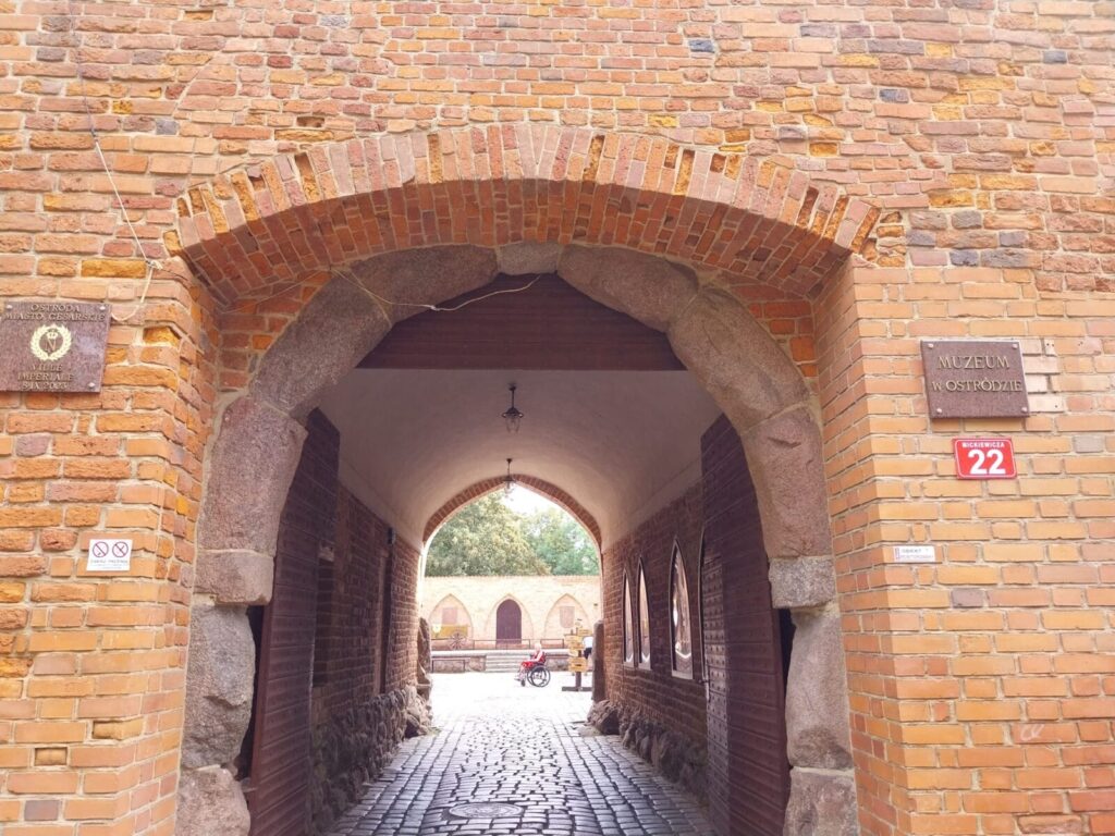muzeum sezon 1