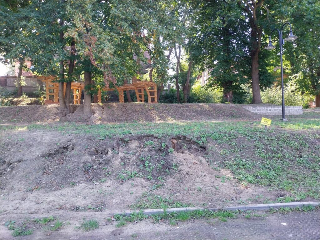 Ma być pięknie, ale drogo. Miasto dołoży do pomysłu mieszkańców. 3 Ogord Rozany 6