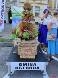 Ostroda Wieniec Dozynki