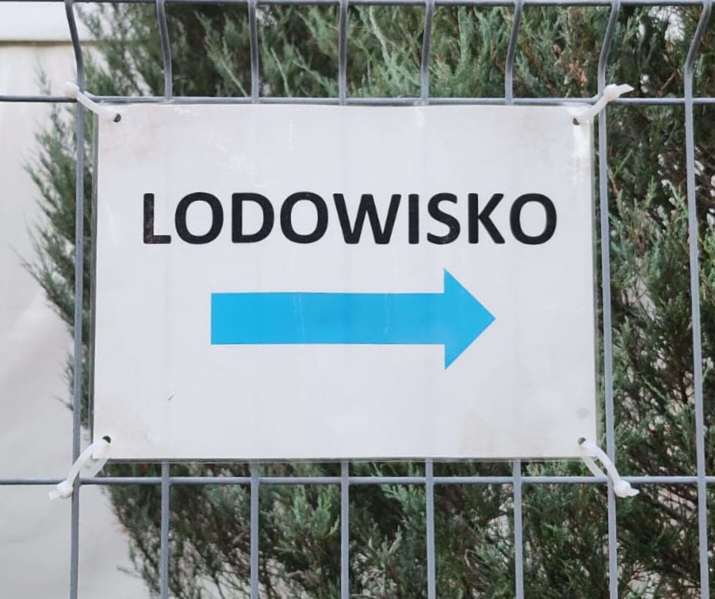 Saint-Tropez bez lodowiska. Żegnaj, Tadeusz. Nie będziemy tęsknić! 1 Lodowisko Szyld