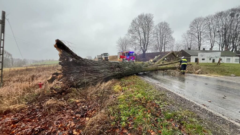 Silny wiatr sieje spustoszenie na Warmii i Mazurach: setki interwencji strażaków, tysiące odbiorców bez prądu 5 1000027159
