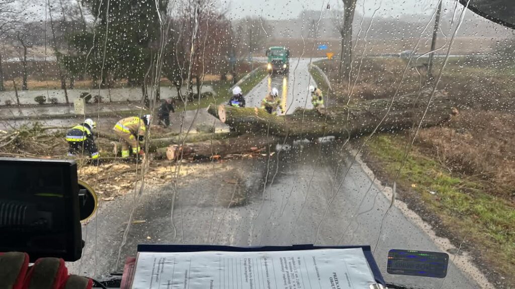 Silny wiatr sieje spustoszenie na Warmii i Mazurach: setki interwencji strażaków, tysiące odbiorców bez prądu 2 1000027160