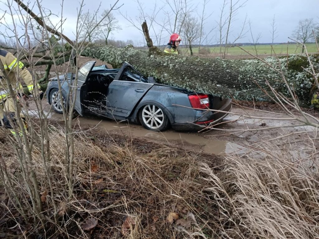 Silny wiatr sieje spustoszenie na Warmii i Mazurach: setki interwencji strażaków, tysiące odbiorców bez prądu 4 1000027164