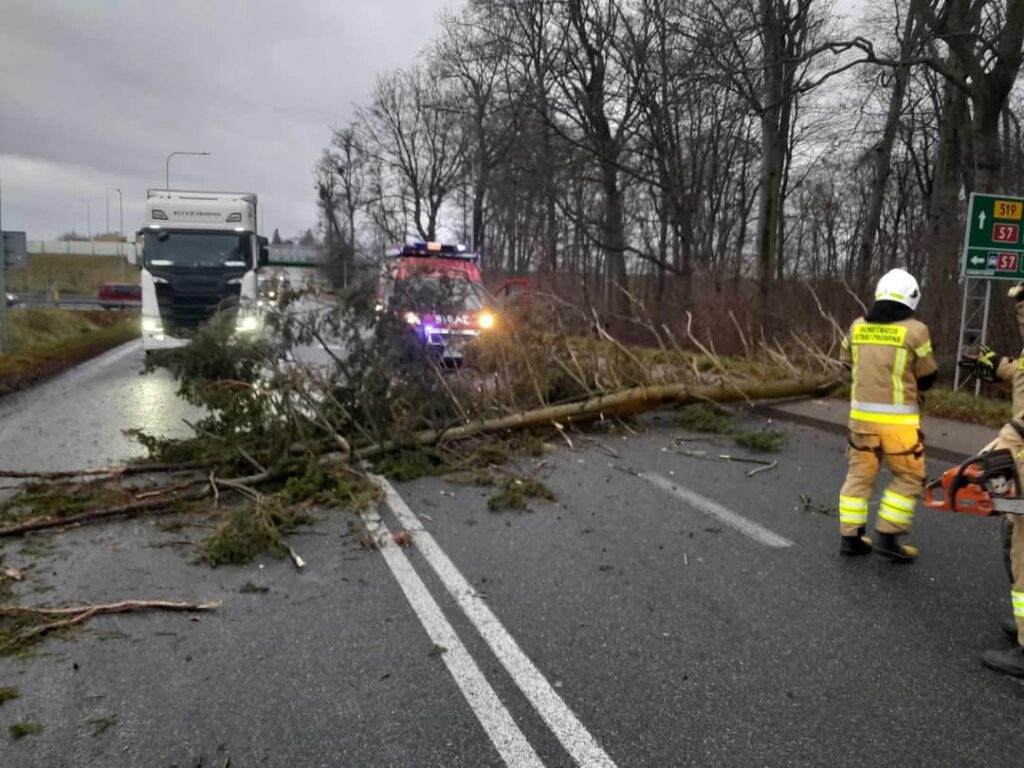 Silny wiatr sieje spustoszenie na Warmii i Mazurach: setki interwencji strażaków, tysiące odbiorców bez prądu 3 1000027165