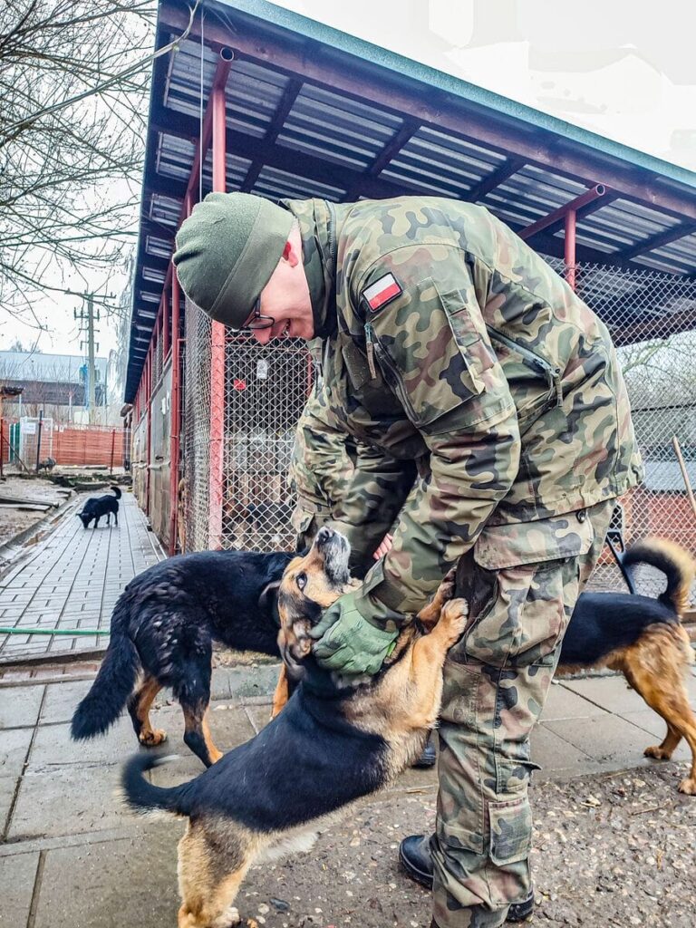 Wojskowi w obronie kotów! Nietypowa akcja w gminie Małdyty 8 Maldyty Budki Dla Kotow 5