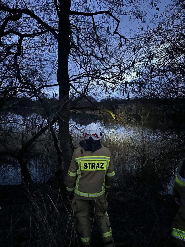 Tragedia na Jeziorze – Łabędzie uwięzione w sieciach kłusowników walczyły o życie 2 Labedzie Klusownicy 1