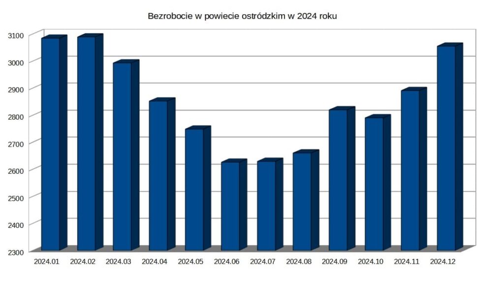 Bezrobocie w dół - Zasiłki w górę! Sprawdzamy sytuację na lokalnym rynku pracy 15 Bezrobocie Powiat Ostrodzki 2024