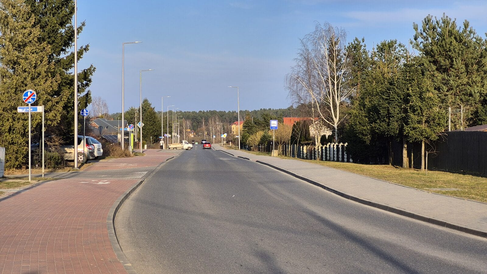 Szykuje się wielka akcja sadzenia. Zarząd Dróg Powiatowych kupuje drzewa. 1 Kupuja Drzewa Zdp