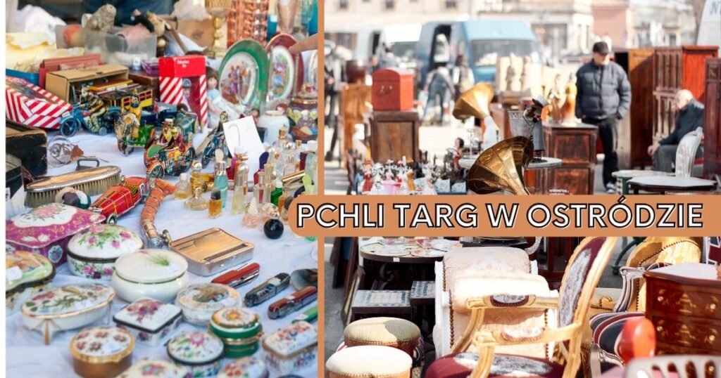 pchli targ zajawka