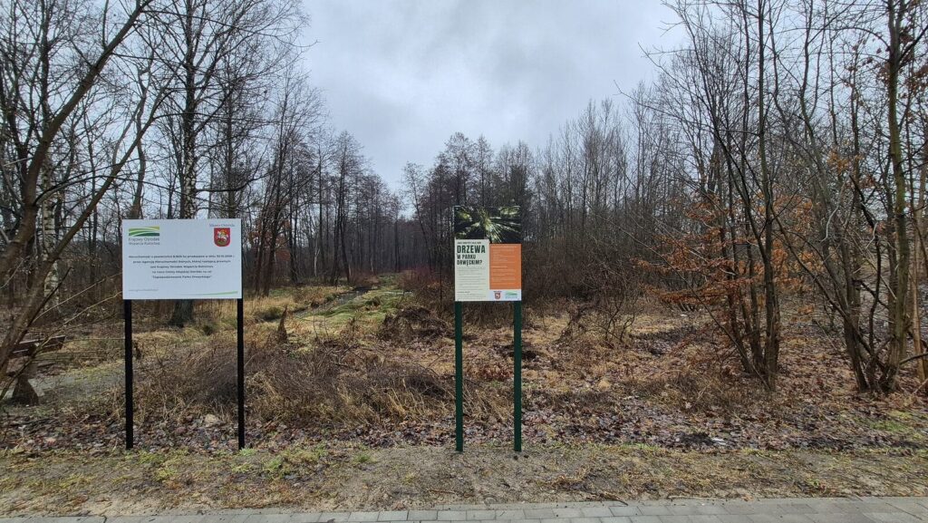 Pieskie życie właścicieli czworonogów. Na wybieg dla psów w Ostródzie jeszcze poczekamy 11 Wybieg Dla Psow