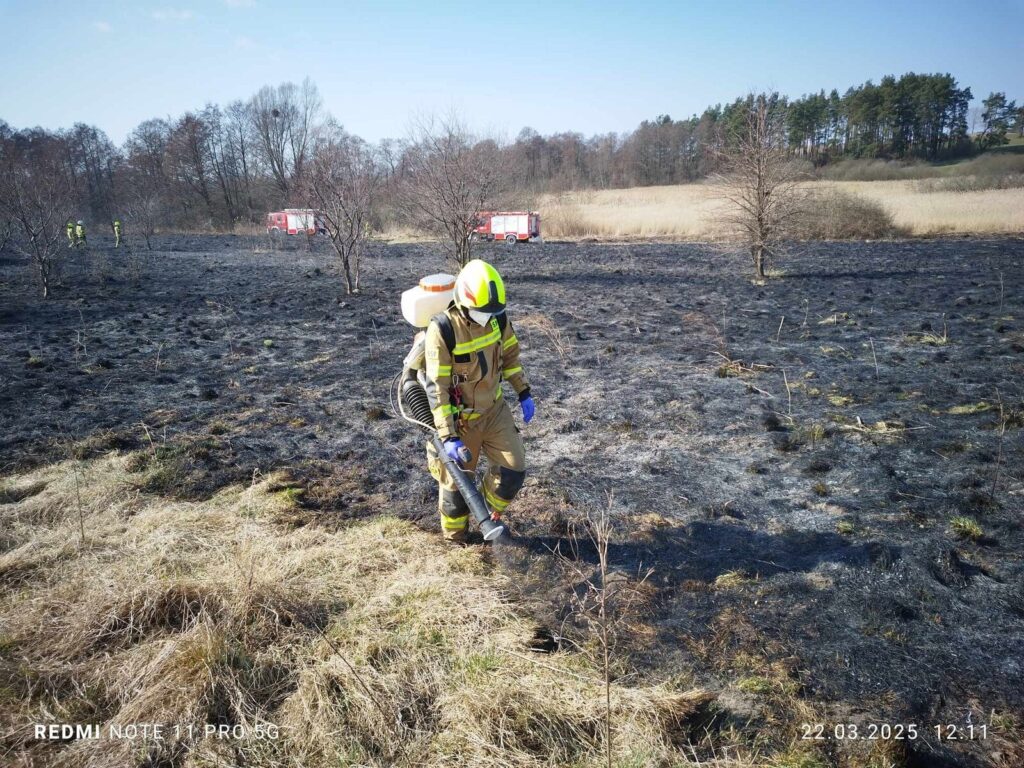 Trawy znów w ogniu. Strażacy nie mają chwili wytchnienia 15 Wypalanie Traw 2 1