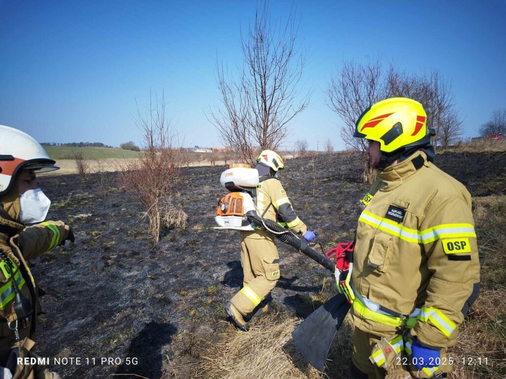 Trawy znów w ogniu. Strażacy nie mają chwili wytchnienia 14 Wypalanie Traw 3 1