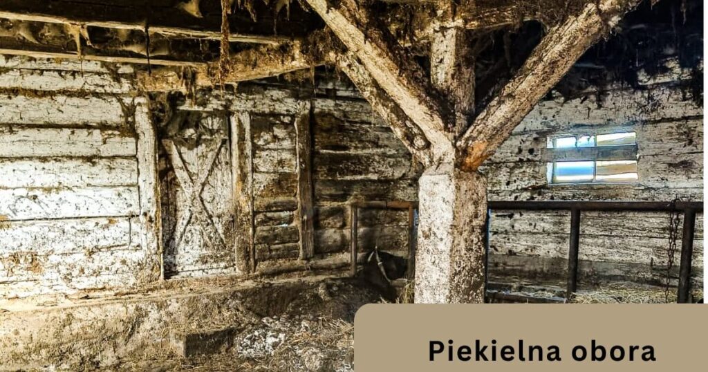 Piekielna obora 1200 x 630 px