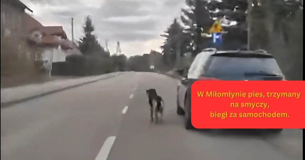 Kolejny przypadek znęcania się nad zwierzętami? Policja prowadzi dochodzenie 25 Pies za samochodem