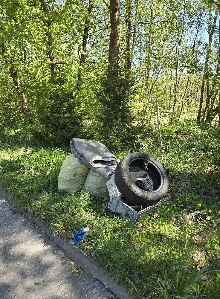Świat pożegnał papieża Franciszka, Ostróda pozbierała śmieci. Wstydliwa historia napisana! 20 Czysta 4