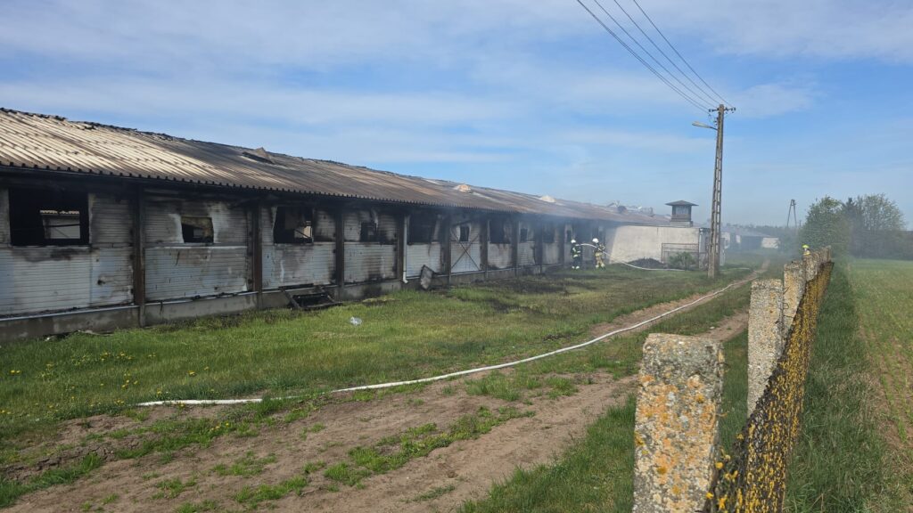Pożar Kurnika W Tyrowie. 