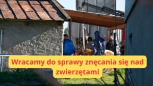 Znęcanie Się Nad Zwierzętami