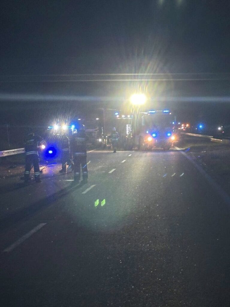 Dwa nocne wypadki na S7. Łosie biegały po drodze! 17 Losie 1