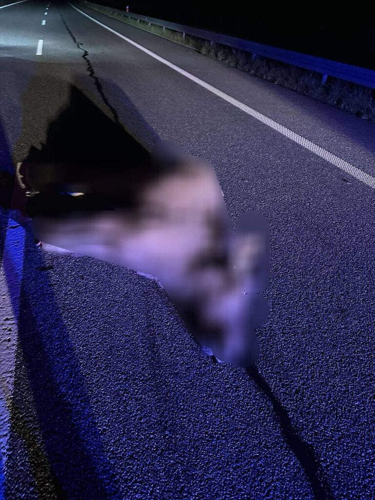 Dwa nocne wypadki na S7. Łosie biegały po drodze! 15 Losie 3