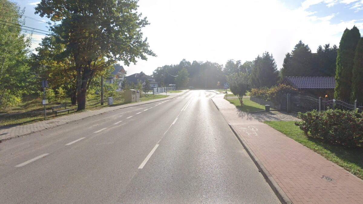 Wypatroszony pies w Ostródzie? Niepokojące znalezisko przy ul. Parkowej 1 Wypatroszony Pies Ostróda