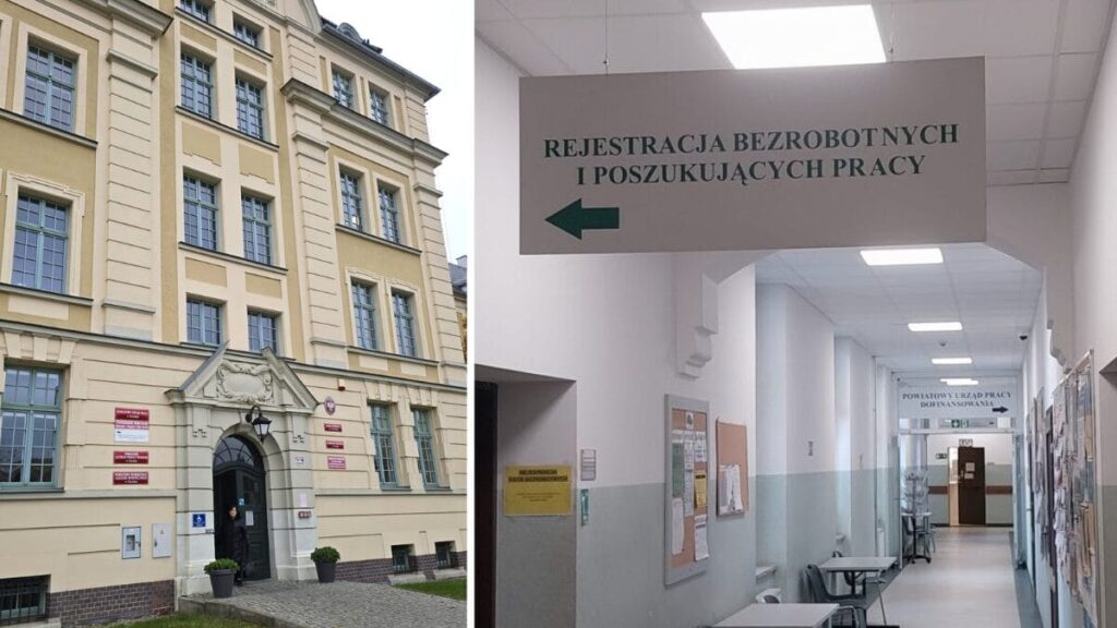 Zostań asystentem... prokuratora? Nowe oferty pracy w Ostródzie i Morągu 24 oferty pracy w Ostródzie