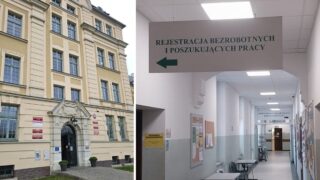 oferty pracy w Ostródzie