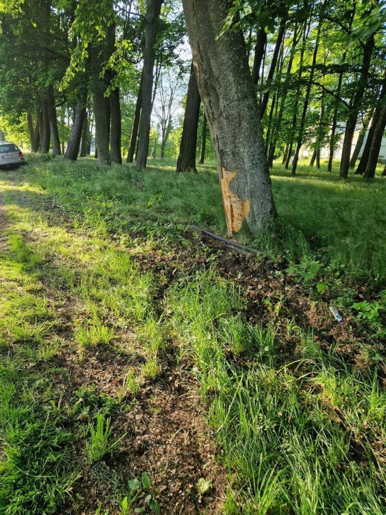 Klonowo: nietrzeźwy kierowca uderzył w drzewo – pasażer trafił do szpitala (2,6 ‰) 3 Nietrzeźwy Kierowca Klonowo