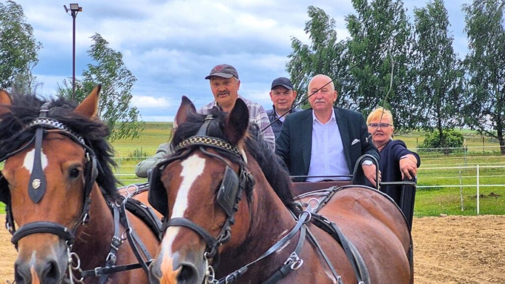 Wystawa koni w Szyldaku