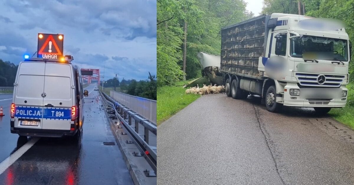 Czwartek Drogi