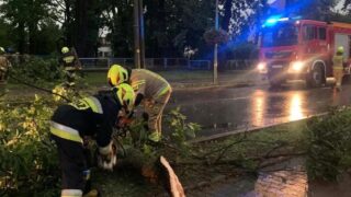 Strażacy podsumowują interwencje po burzach.