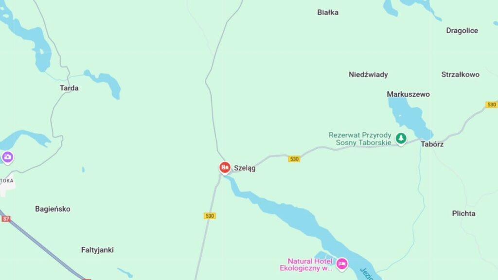 Wypadek na drodze wojewódzkiej 530. Osobówka uderzyła w drzewo w Szelągu. 14 Wypadek Na Drodze Wojewódzkiej 530. Służby Interweniują W Miejscowości Szeląg.