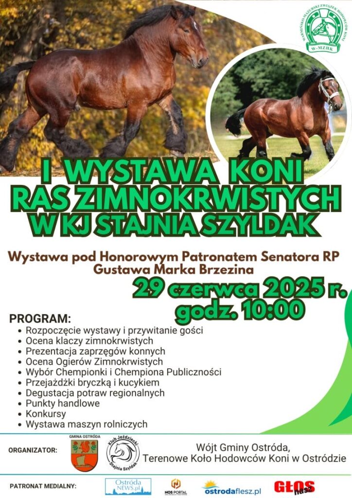 Wystawa Koni