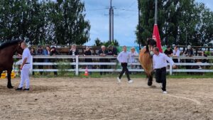 Wystawa Koni Szyldak 14