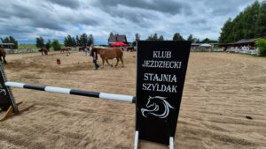 Wystawa Koni Szyldak 17