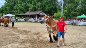 Wystawa Koni Szyldak 18