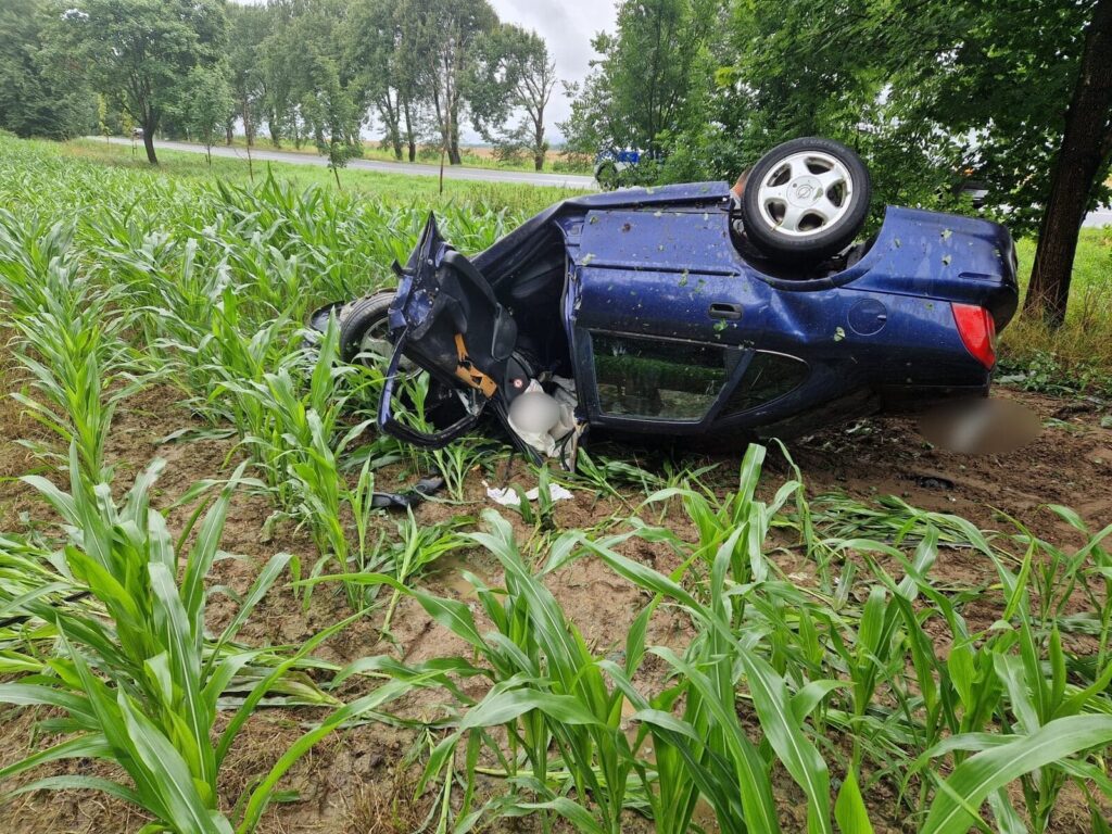 Dachowanie osobówki na "starej" 7. Podróż zakończona w polu kukurydzy 4 Dachowanie Osobówki