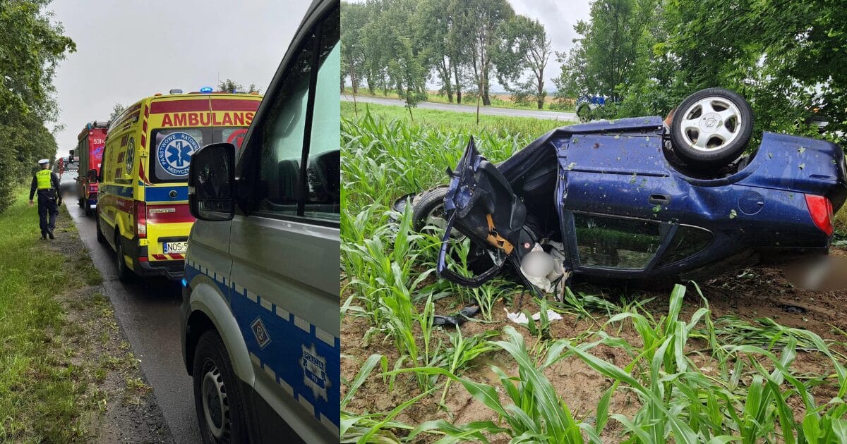 Dachowanie osobówki na "starej" 7. Podróż zakończona w polu kukurydzy 1 Dachowanie Osobówki