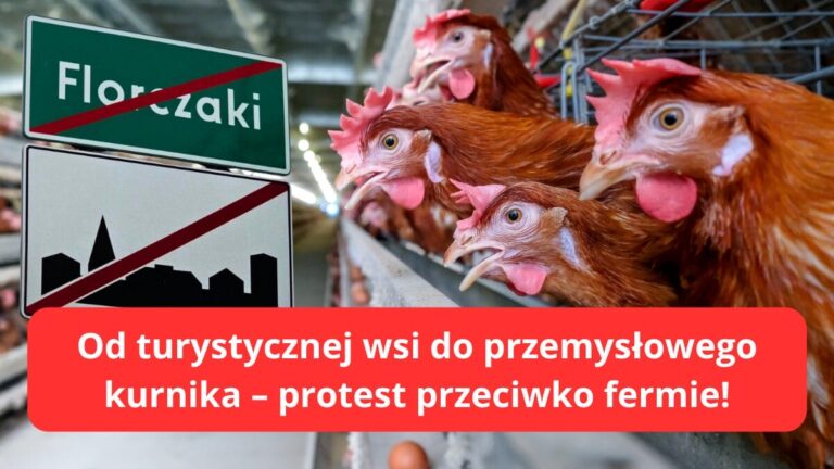 Florczaki Od turystycznej wsi do przemysłowego kurnika – protest przeciwko fermie!