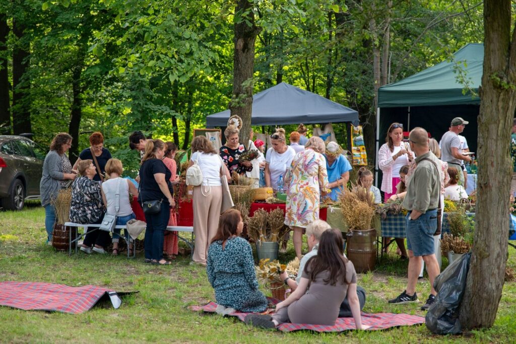 Miłakowo: Gminnych Dożynek w tym roku nie będzie! Za nami Festiwal Lnu 3 Festiwal Lnu Odbył Się 16 Sierpnia W Parku Miejskim W Miłakowie.