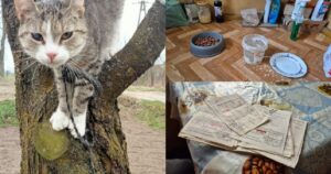 Pani Janina z Marynowa stanie przed sądem! Czy prawo jest tak bezduszne? 19 Pani Janina Stanie Przed Sądem. Wracamy Do Bulwersującej Sprawy