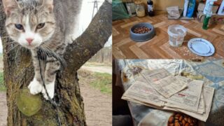 Pani Janina stanie przed sądem. Wracamy do bulwersującej sprawy