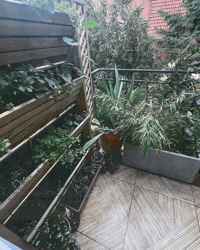 Ukwiecona Ostróda